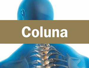 coluna